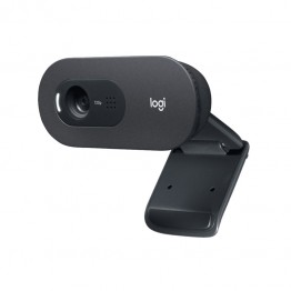 Camera web Logitech C505e, HD